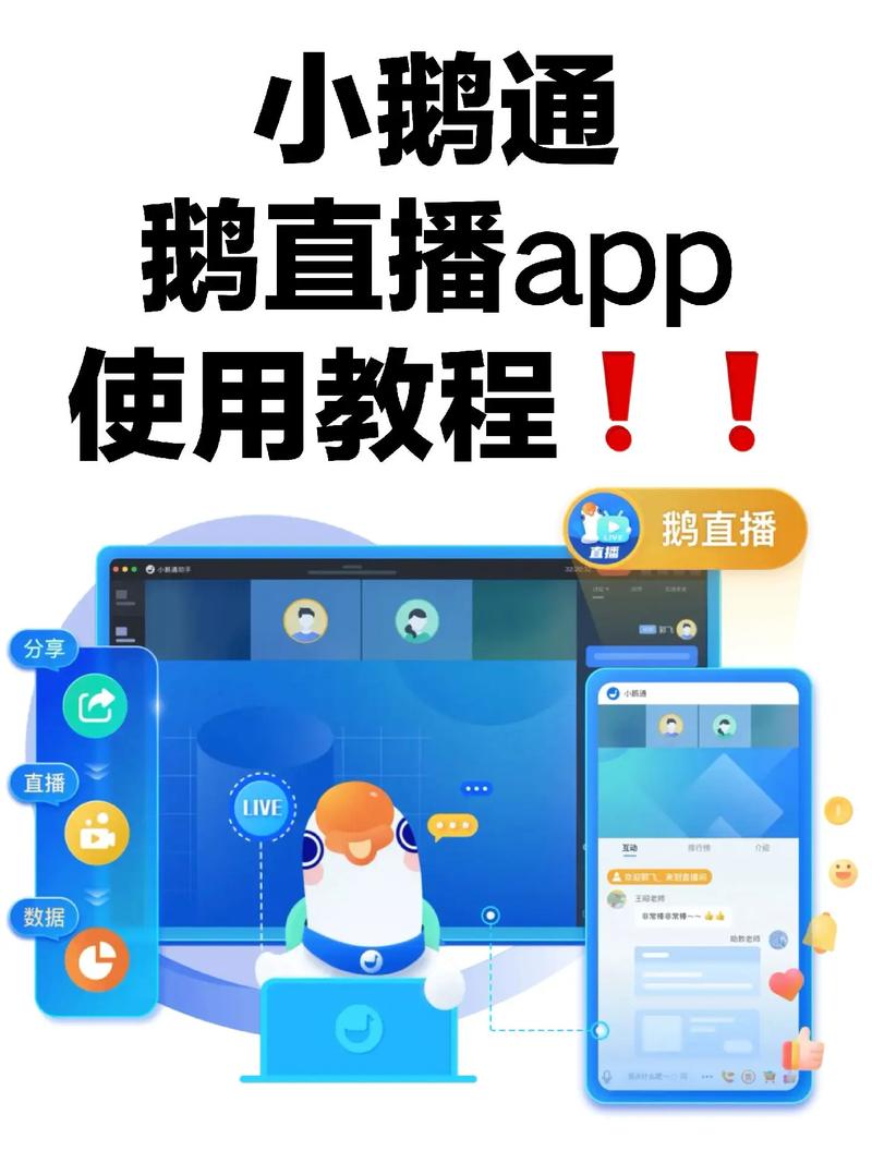 鹅盒APP