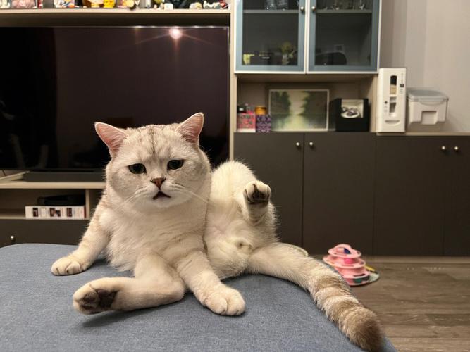 前！方！高！能！这里的东西只能给你看！