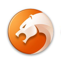 猎豹安全浏览器v6.108.11895官方版