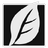 SkinFinerv2.1官方版
