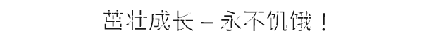 拆装 DYSMANTLE官方中文本体+1.4.1.1升补+3DLCNSP原版