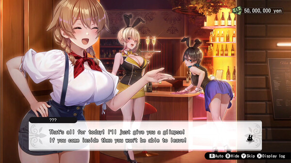 兔兔秘密花园官方中文本体+1.0.5升补NSZ原版